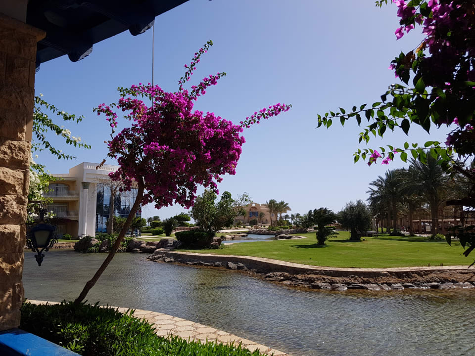 Gartenanlage Palm Royale Resort - Soma Bay