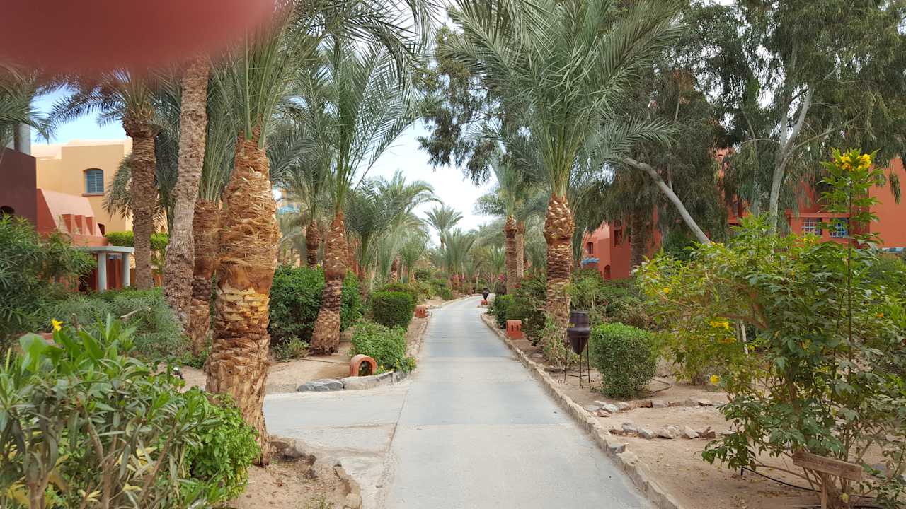 Gartenanlage Sheraton Miramar Resort El Gouna