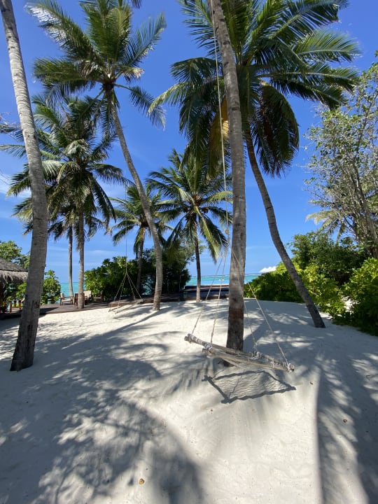 Gartenanlage Summer Island Maldives