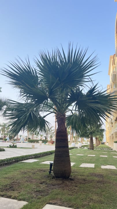 Gartenanlage Premier Le Reve Hotel & Spa