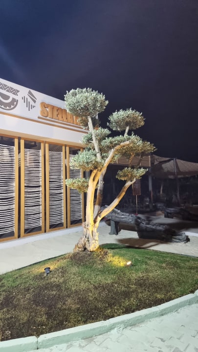 Gastro Hotel Delphin Imperial