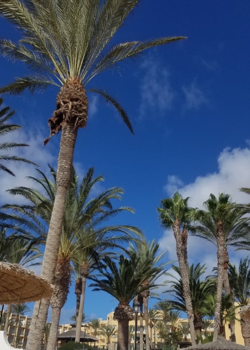 Ausblick allsun App.-Hotel Barlovento