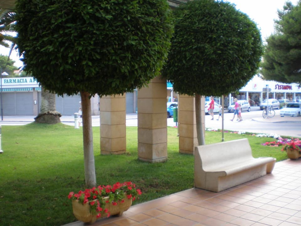 Weg zum Hoteleingang Hipotels Flamenco