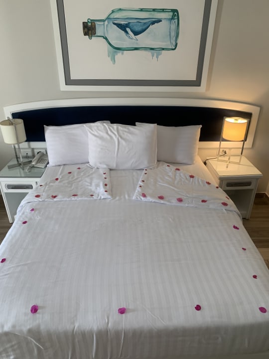 zimmer-desert-rose-resort-hurghada-holidaycheck-hurghada-safaga