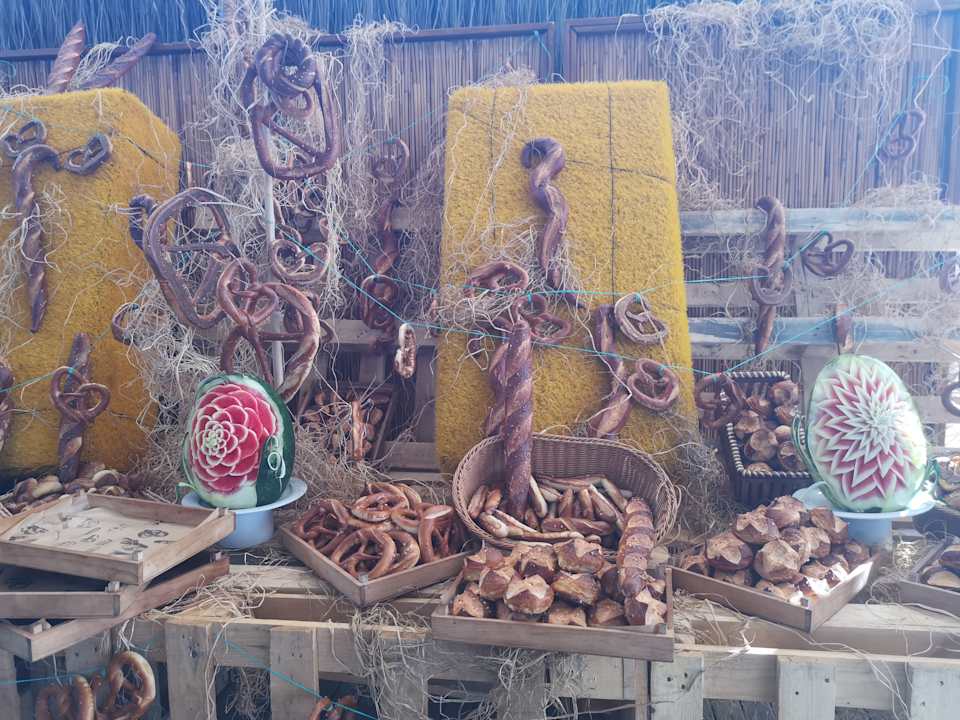 Gastro Seashell Vega