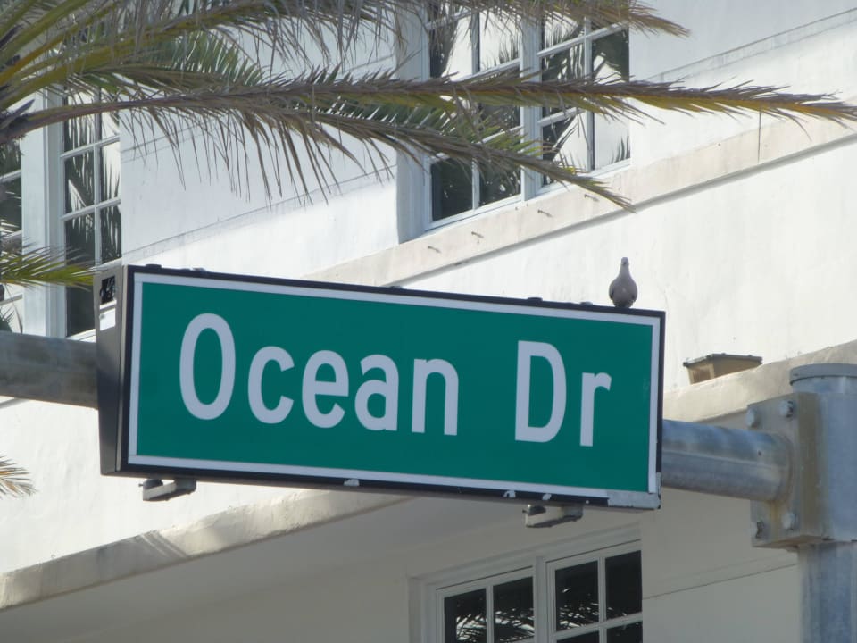 Sehr schöner Weg über den Steg zum Ocean Dr. Hotel Riu Plaza Miami Beach