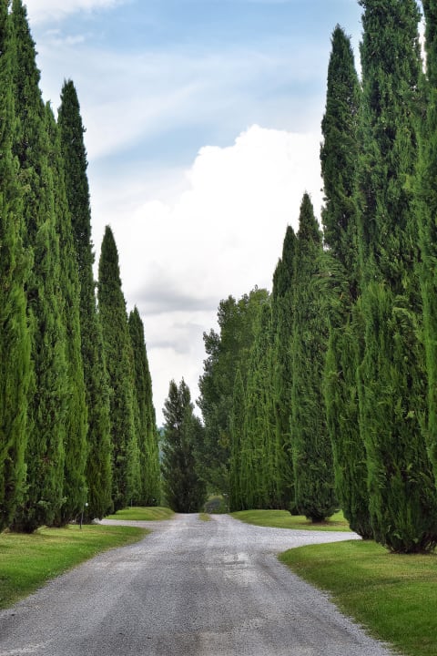 Gartenanlage Agriturismo La Sovana