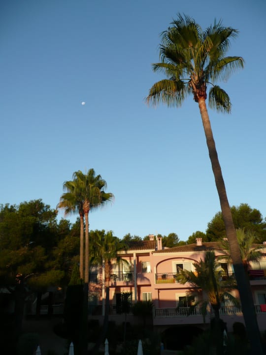 Gartenanlage R2 Lago Playa Park