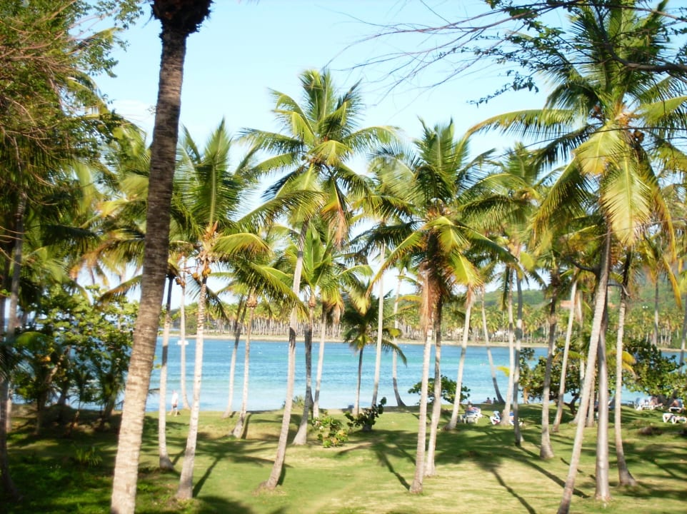 Blick zum Strand Wyndham Alltra Samana