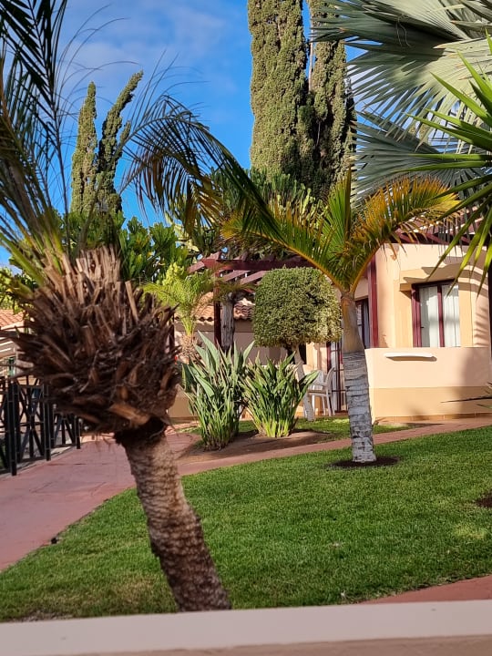 Gartenanlage allsun Hotel Esplendido