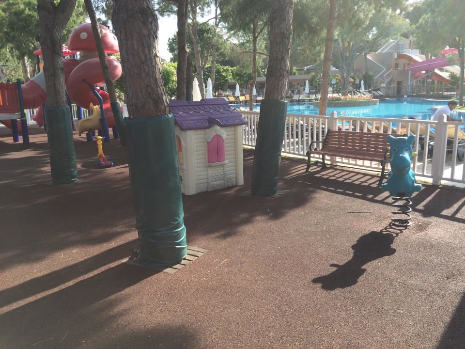 Spielplatz  Papillon Ayscha