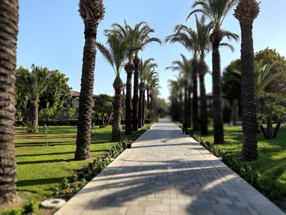 Gartenanlage TUI BLUE Palm Garden