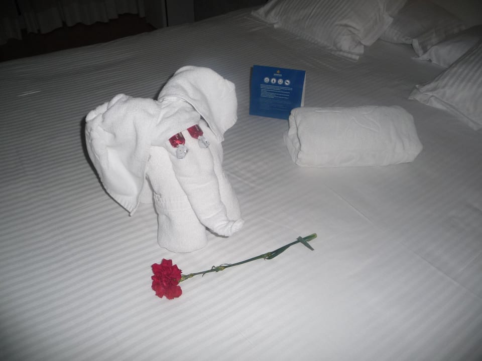 "Willkommensgast" Iberostar Waves Bahia de Palma