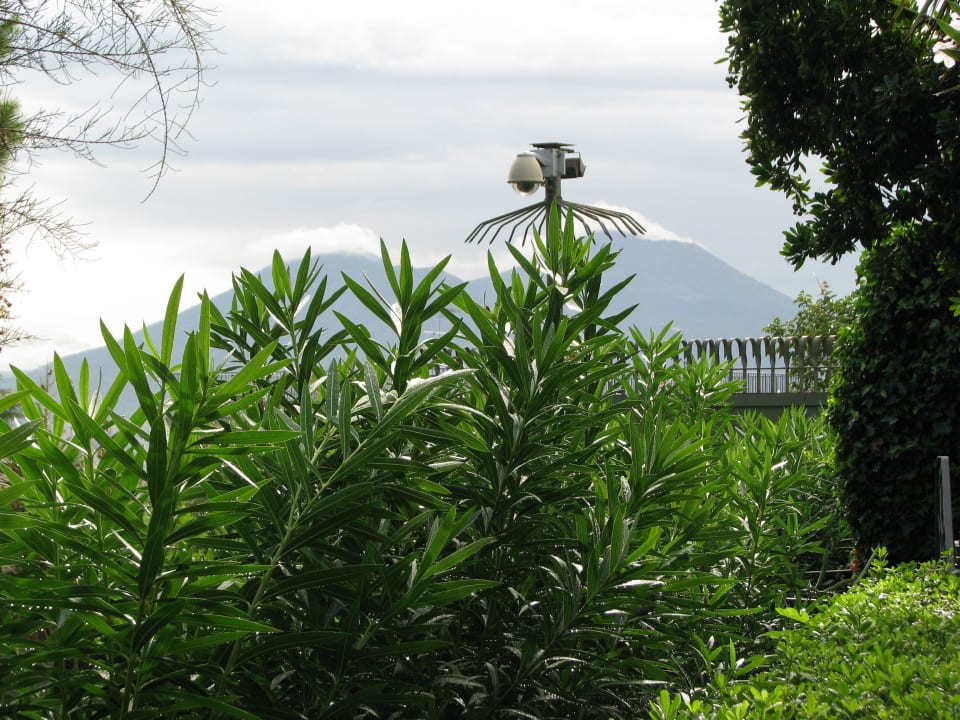 Auf den Vesuv Villa Capodimonte