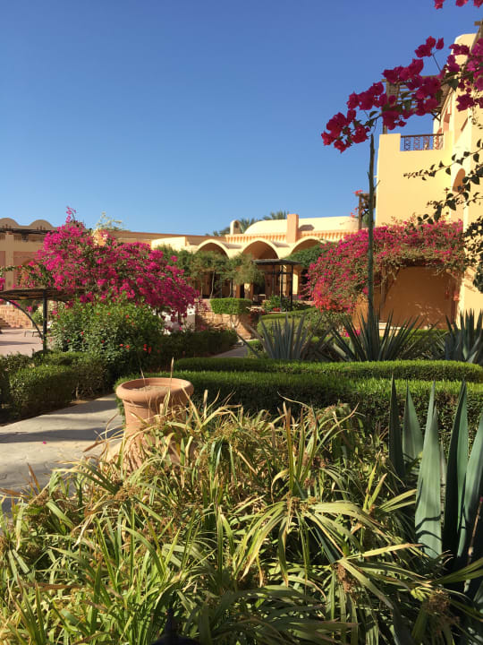 Gartenanlage Steigenberger Coraya Beach - Adults only