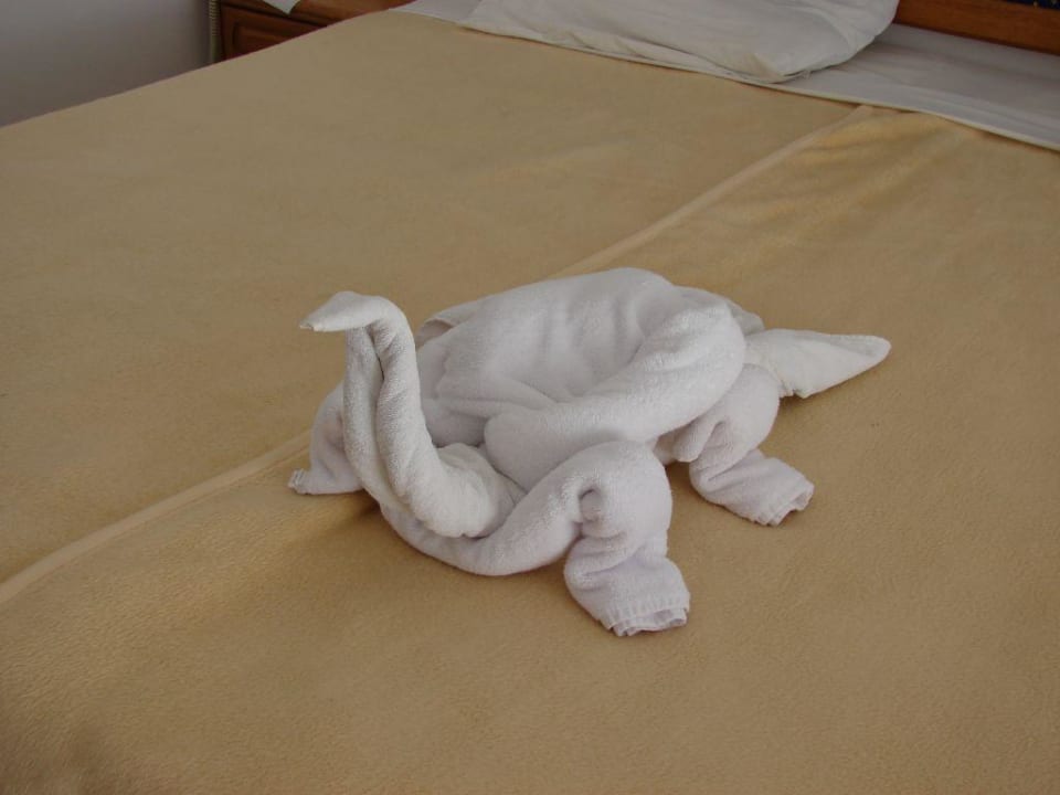 Żółwik Desert Rose