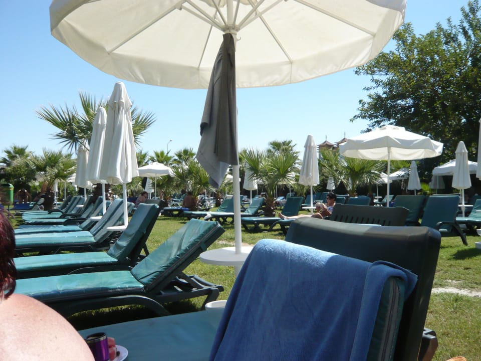 Viel freie Liegen  toll Hane Family Resort