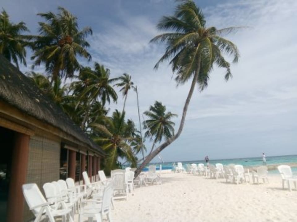 Gastro Fihalhohi Maldives