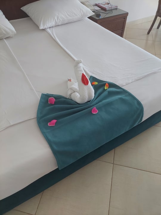 Zimmer Jaz Soma Beach