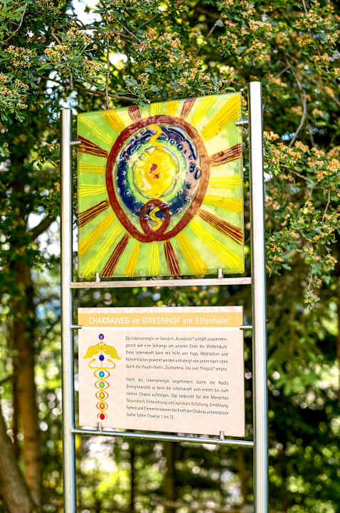 Gartenanlage Spirit & SPA Hotel Birkenhof am Elfenhain