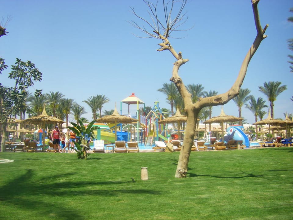 Wunderschöner Kinderpool Beach Albatros Resort