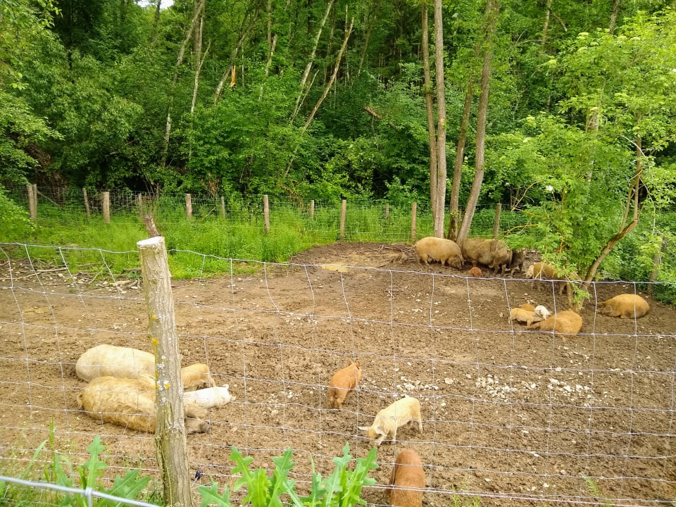 Gartenanlage Reiters Finest Family Hotel