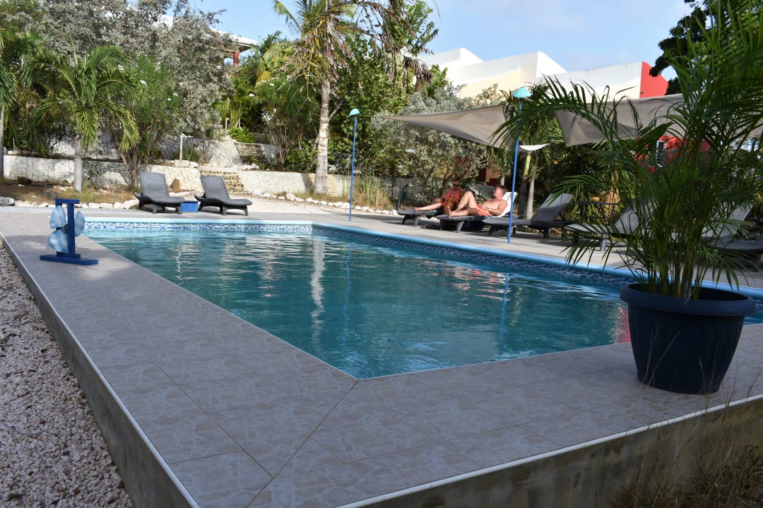 Pool Don Genaro Apartments