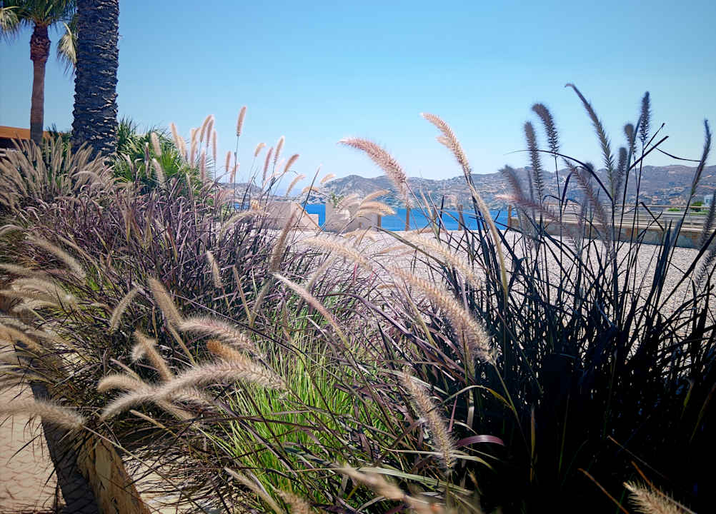 Gartenanlage Seaside A Lifestyle Resort