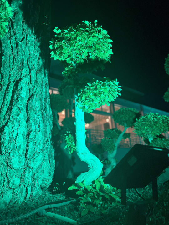 Gartenanlage Nirvana Mediterranean Excellence