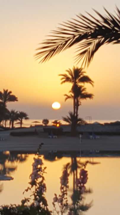 Ausblick Mövenpick Resort & Spa El Gouna