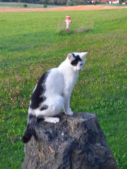Gartenanlage Irgenbauernhof
