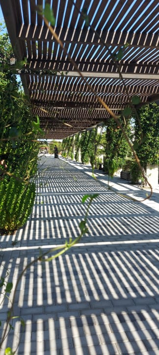 Gartenanlage Astir Odysseus Kos Resort & Spa