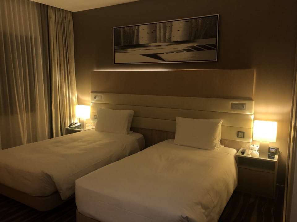 Zimmer Hilton Frankfurt Airport