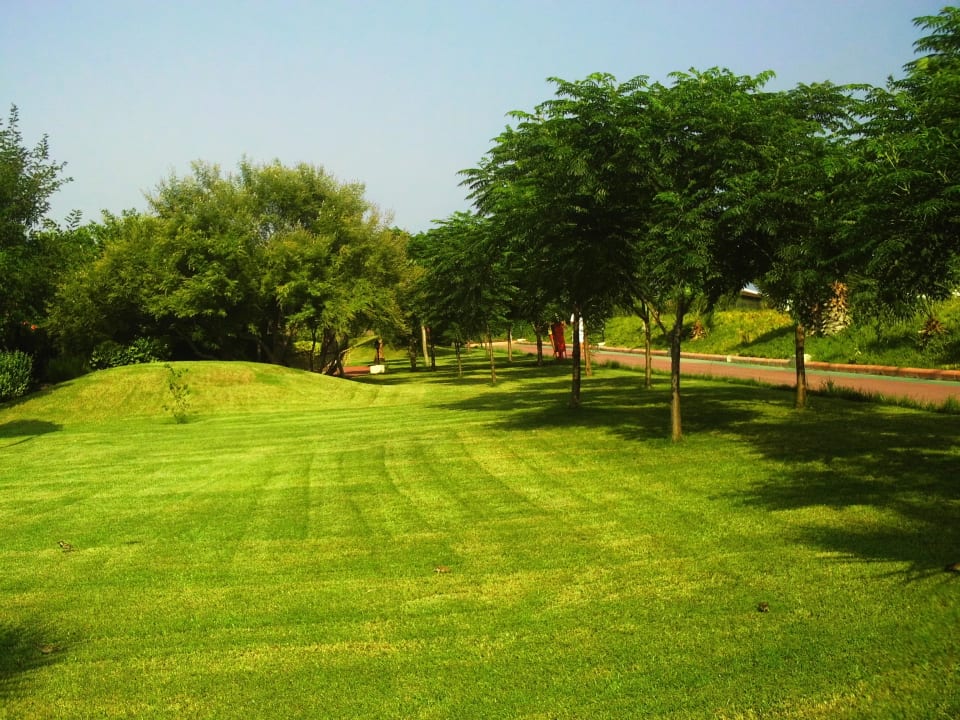 Top gepfegter Garten Sherwood Exclusive Lara