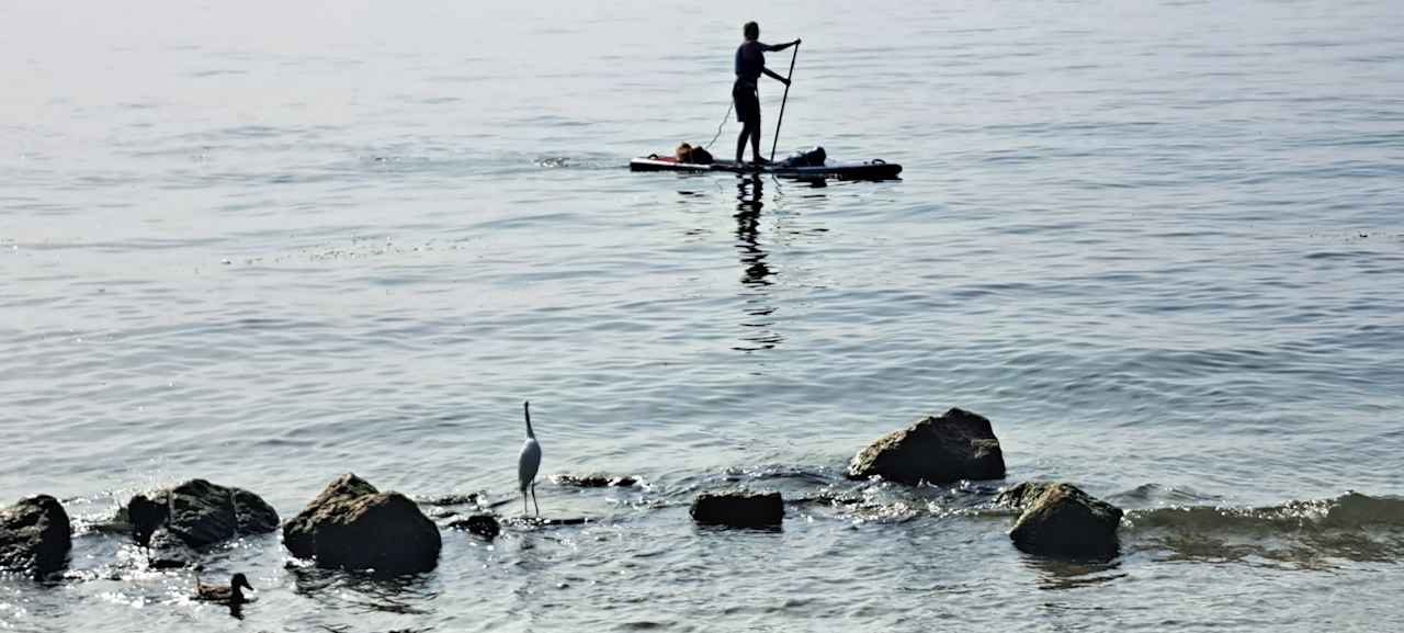 Strand Hotel Madrina Villa