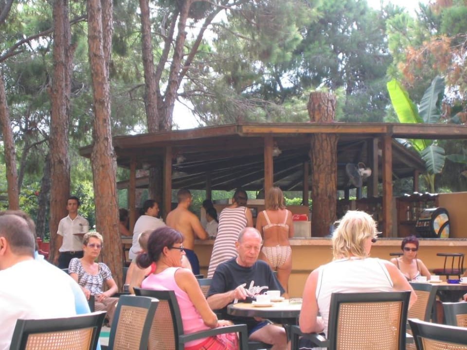 Poolbar Asteria Collection Side