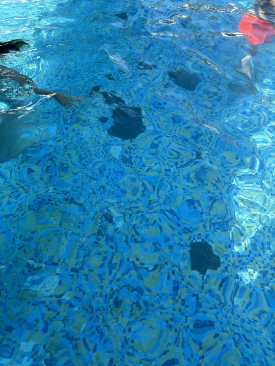 Pool Occidental Jandía Mar