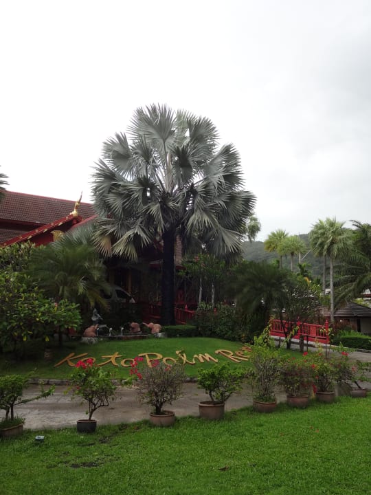 Einfahrt zum Hotel Kata Palm Resort & Spa