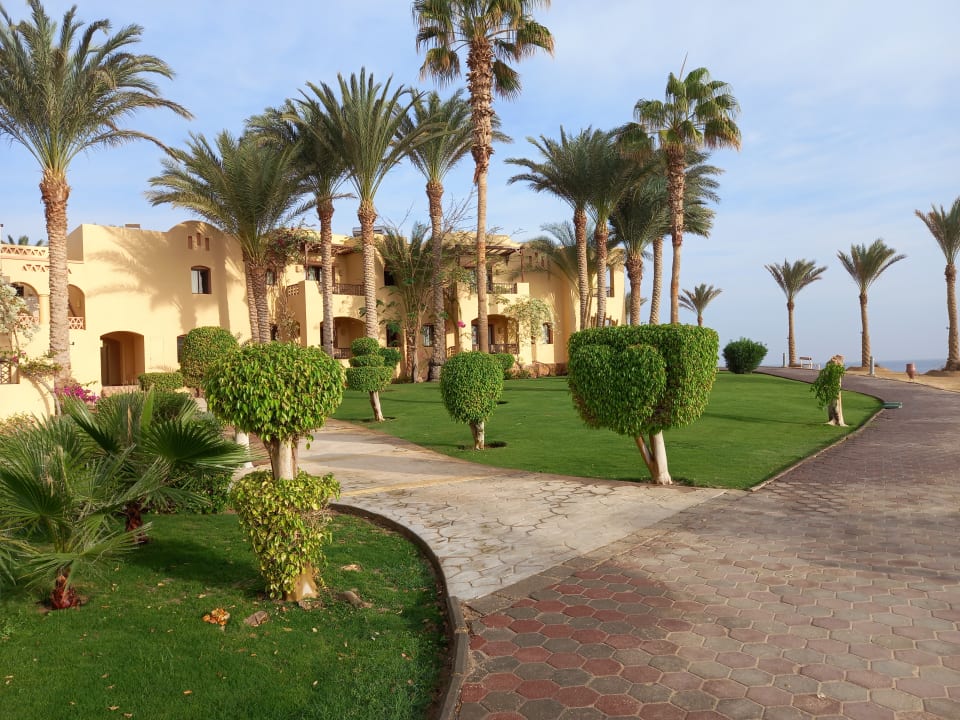 Gartenanlage Steigenberger Coraya Beach - Adults only