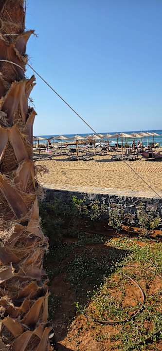 Strand allsun Hotel Carolina Mare