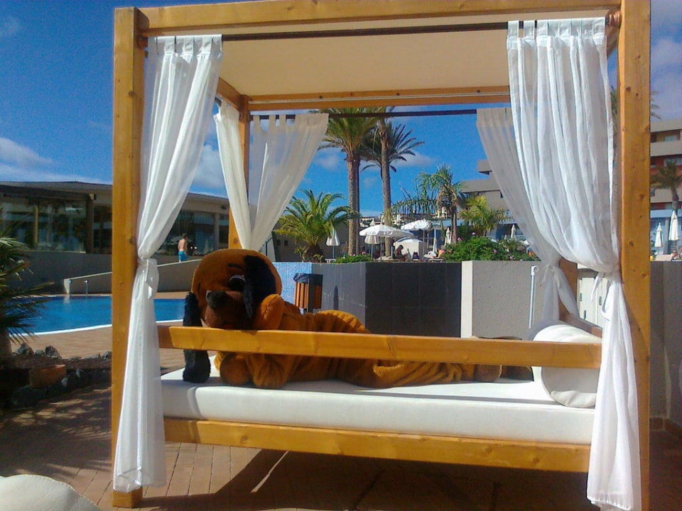 Luxus Liegen für 2 Iberostar Waves Gaviotas Park