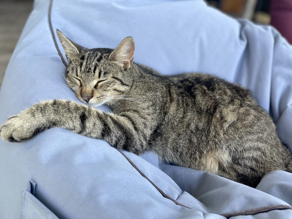 Sonstiges Bliem's Familienhotel