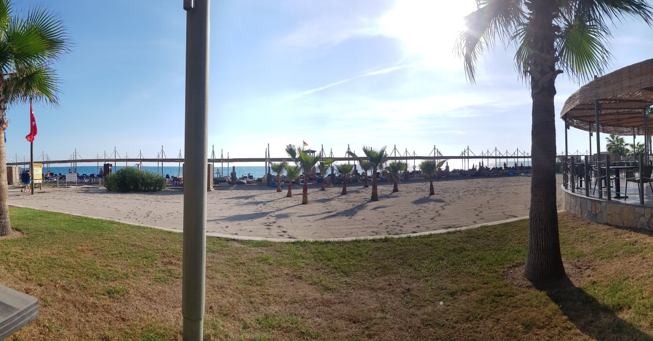 Strand TUI BLUE Palm Garden