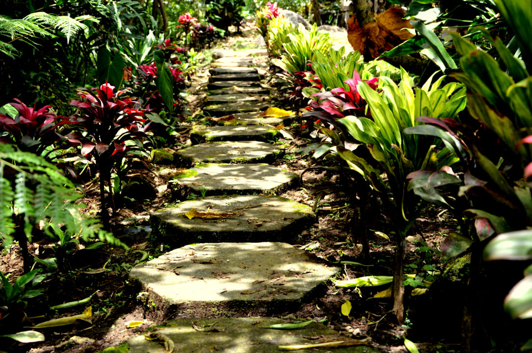 Gartenanlage Hotel Guayabo Lodge
