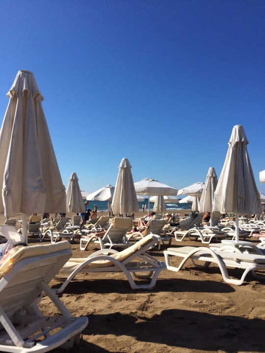 November ;-)) Arum Barut Collection