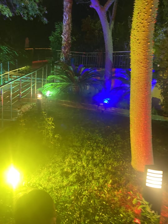 Gartenanlage Dream World Aqua Hotel