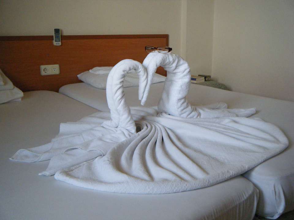 Elke dag weer een verrassing! Hotel Kleopatra Alis