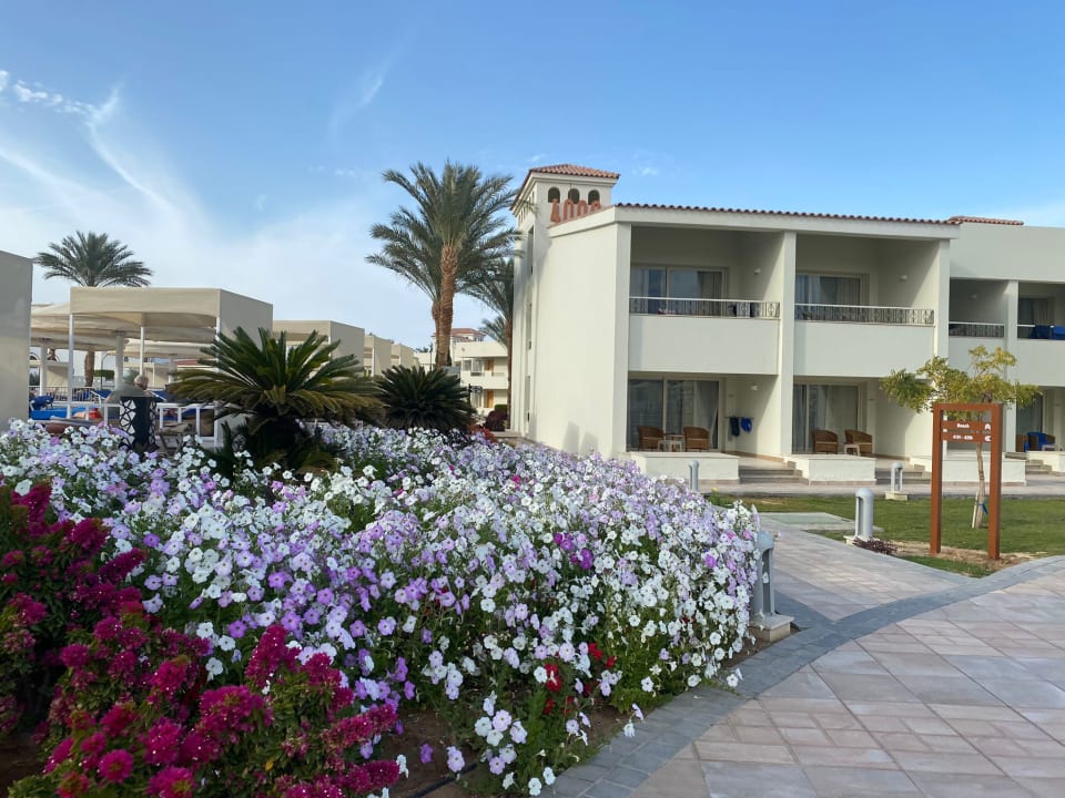 Außenansicht Pickalbatros Dana Beach Resort - Hurghada