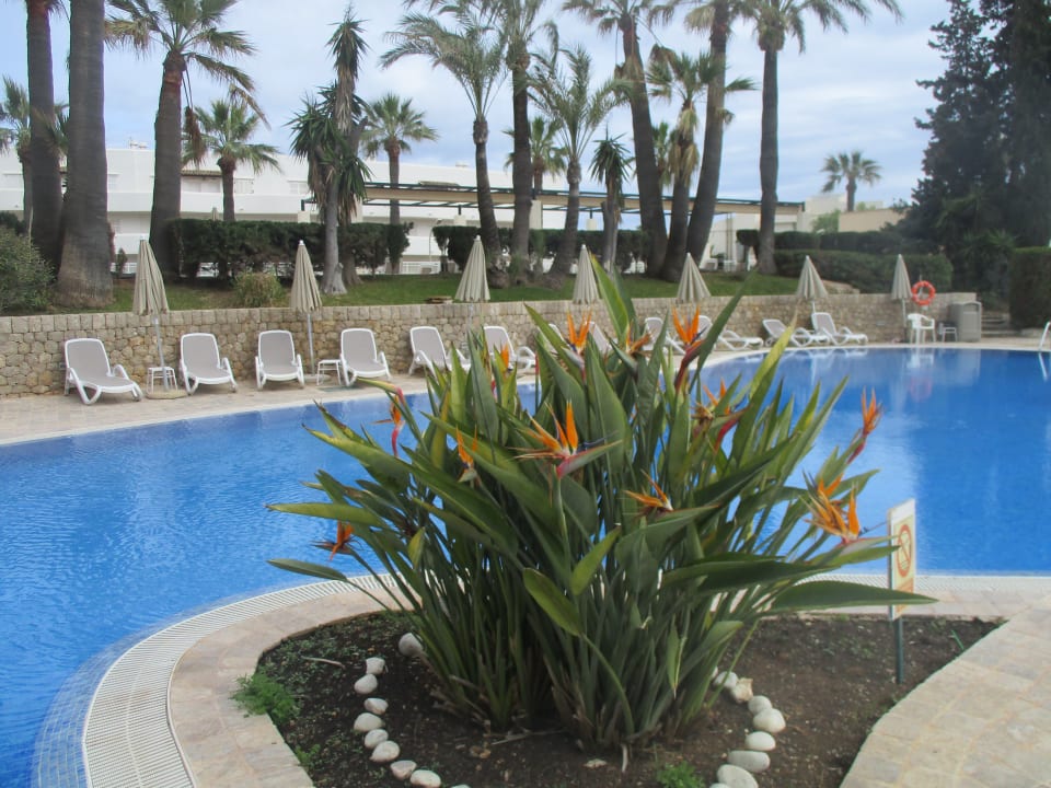 Pool Welikehotel Marfil Playa
