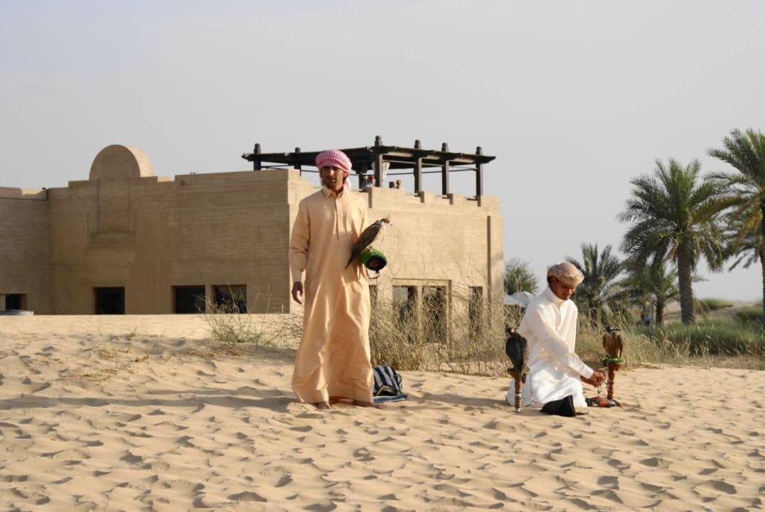 Falkenshow Hotel Bab Al Shams Desert Resort & Spa